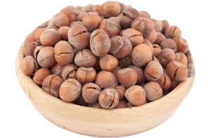 فندق شکسته