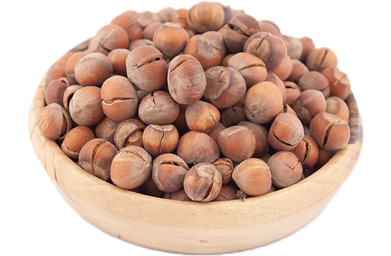 فندق شکسته