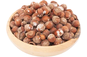فندق نمکی