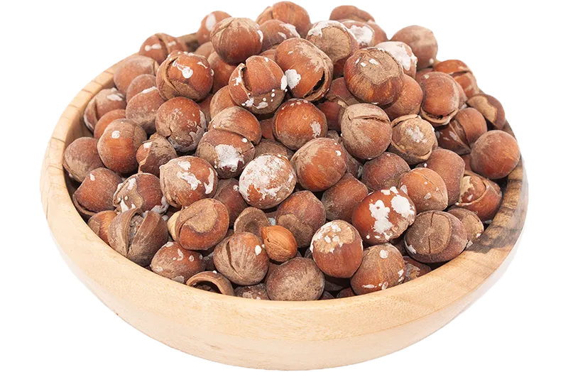 فندق نمکی