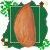 بادام‌درختی